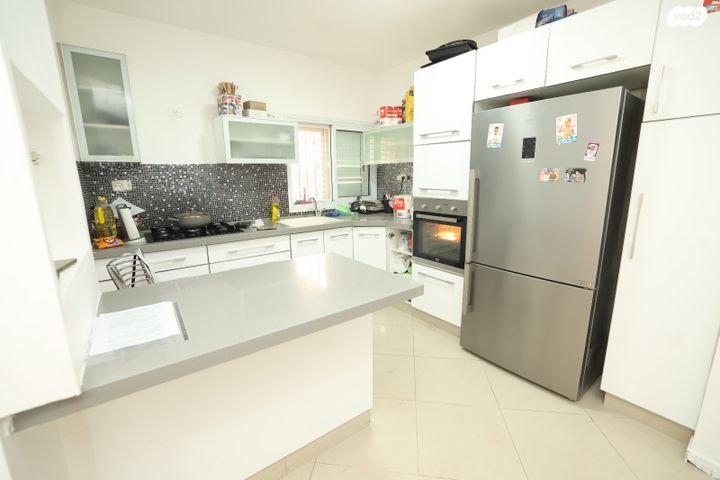 פרופסור שמשון עמיצור 