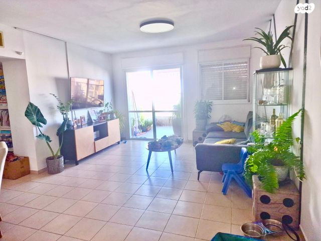 רחובות ההולנדית