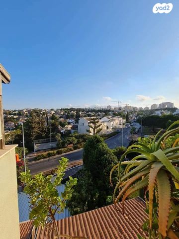 טריפלקס, אשחר, האירוסים, כרמיאל