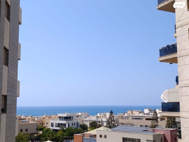 דירה, נתניה