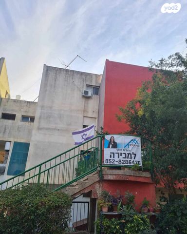 טריפלקס, אשחר, האירוסים, כרמיאל