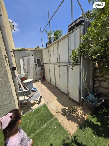 אבשלום פיינברג 17