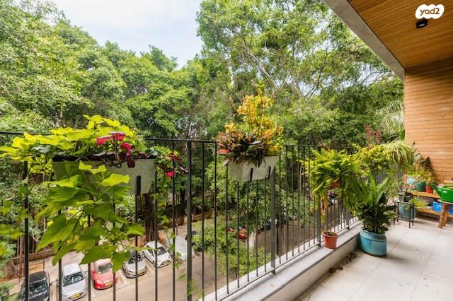 דירה, עמנואל הרומי, הצפון הישן - צפון, תל אביב יפו