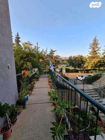 טריפלקס, אשחר, האירוסים, כרמיאל