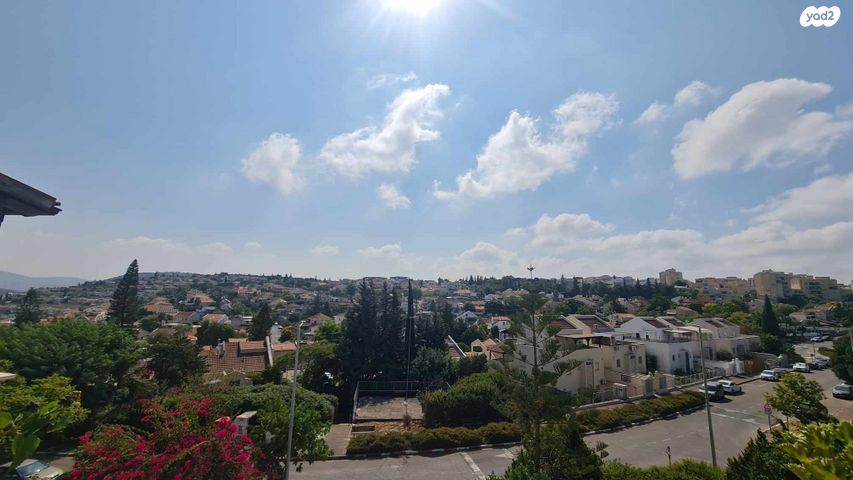 טריפלקס, אשחר, האירוסים, כרמיאל