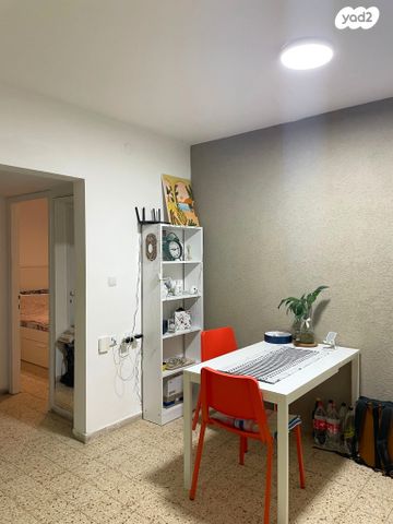 אריה מוצקין 