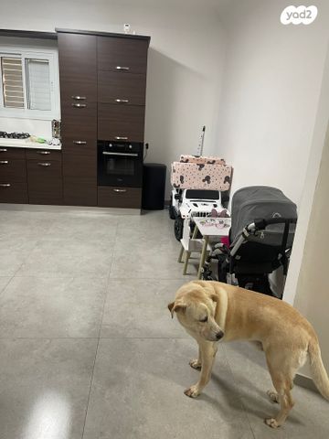 דירת גן, בורוכוב, שכונה א', באר שבע