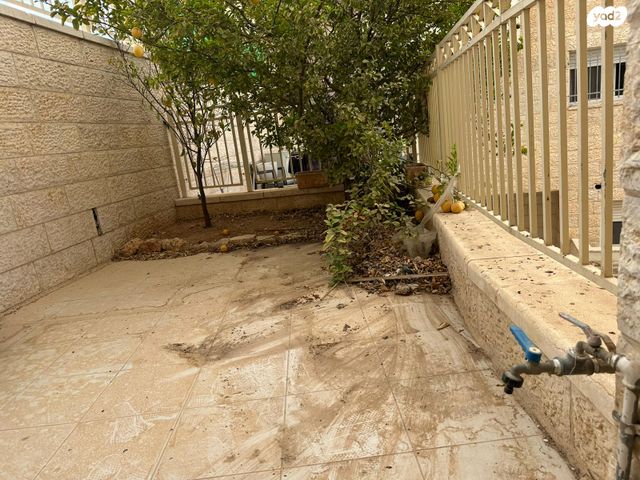 דירה, נופי סלע, מעלה אדומים