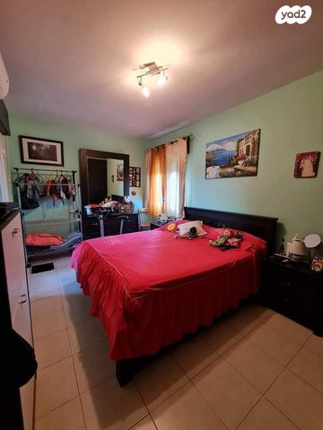 טריפלקס, אשחר, האירוסים, כרמיאל