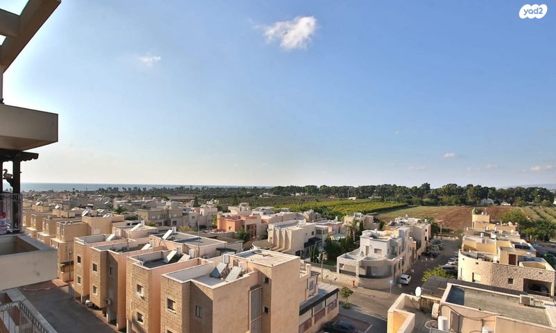 דירה, העפרוני, עכו