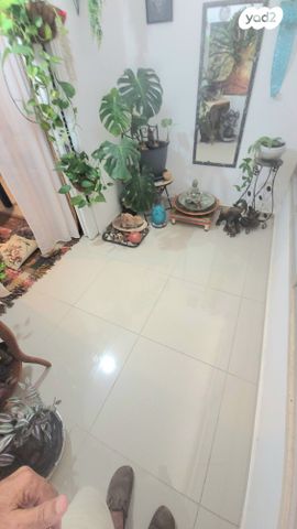 דירה, רמב"ם, לב המושבה / מרכז העיר, פתח תקווה