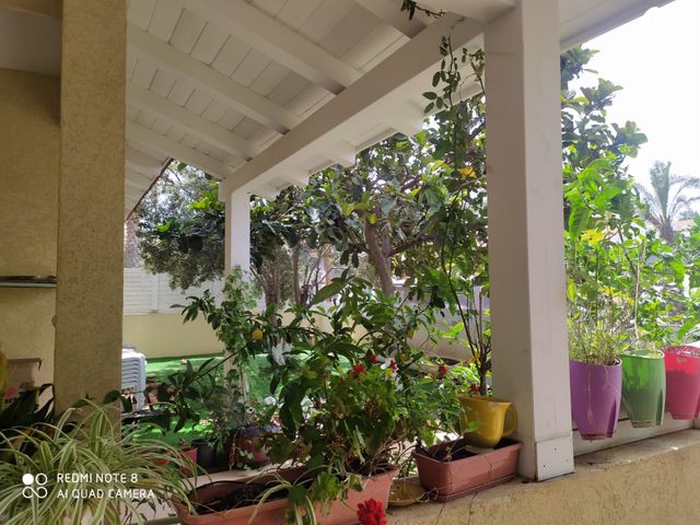 דו משפחתי, פינס, הפועלים, גדרה