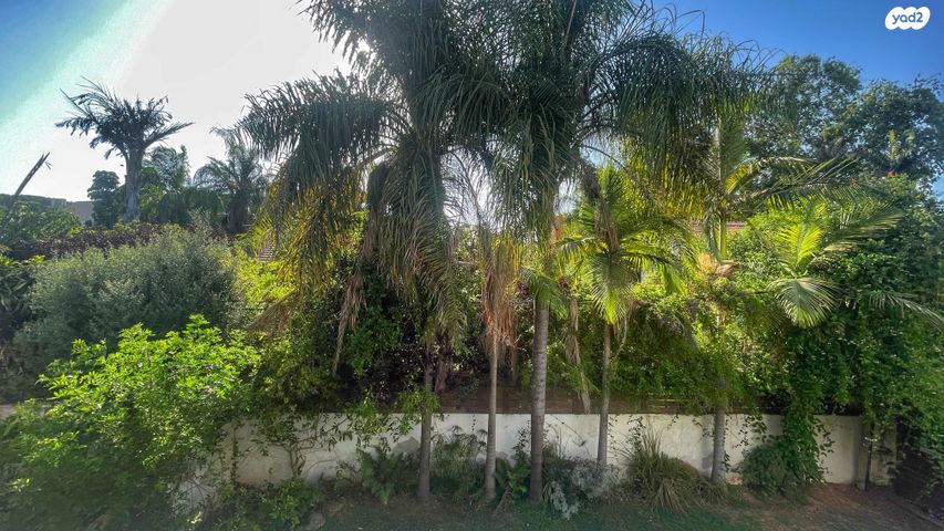 בית פרטי/ קוטג'