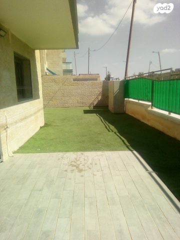 אבנר חי שאקי 