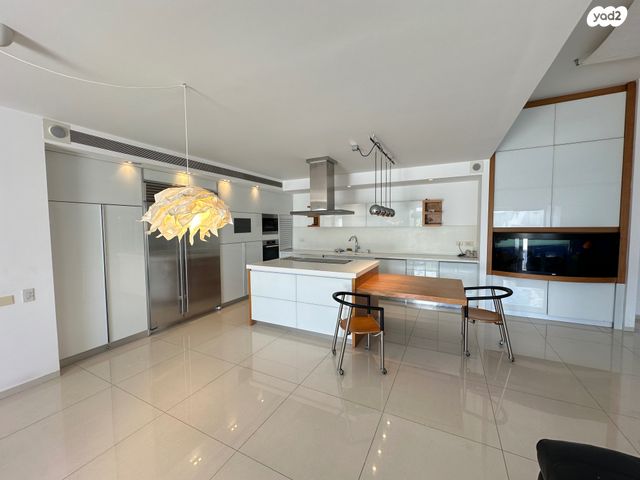 דופלקס, אלכסנדר סשה ארגוב, המשתלה, תל אביב יפו