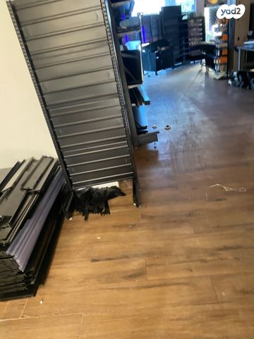 חנויות/ שטח מסחרי, דרך רמתיים, שאר העיר, הוד השרון