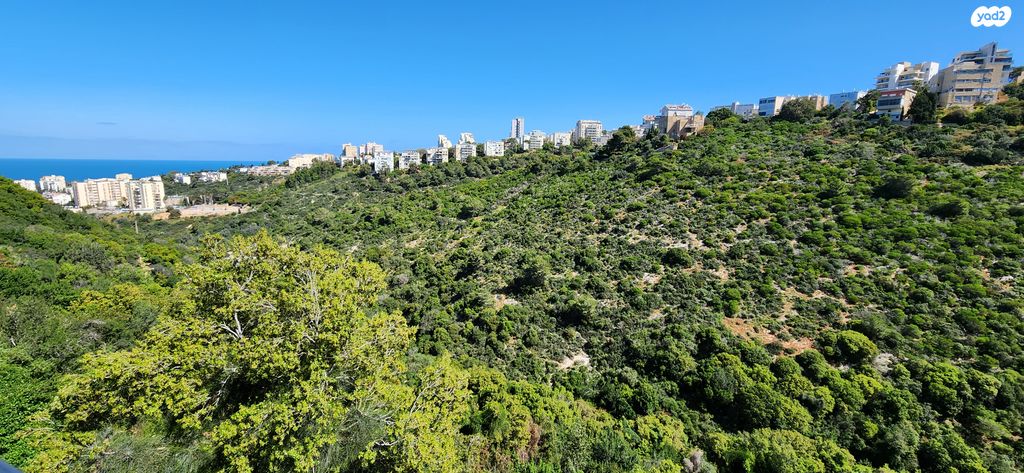דירה, התמר 22, כרמל מערבי, חיפה