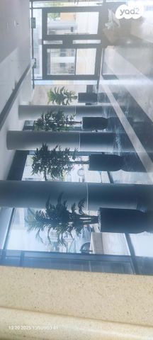 דירה, ענבים 4, רובע ט"ז, אשדוד