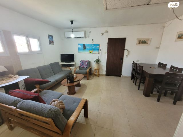 שלמה המלך 13