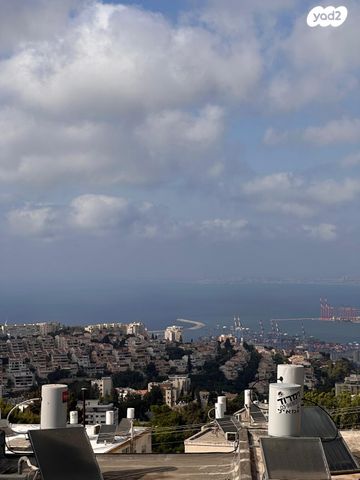 דירה, גבעת דאונס, אחוזה, חיפה