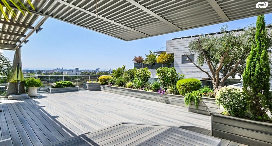 גג/ פנטהאוז, משה לרר, ארגמן, נס ציונה