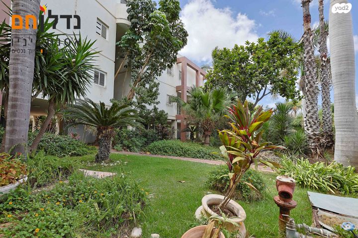 דירה, דוד בן גוריון, גולן, רמת השרון