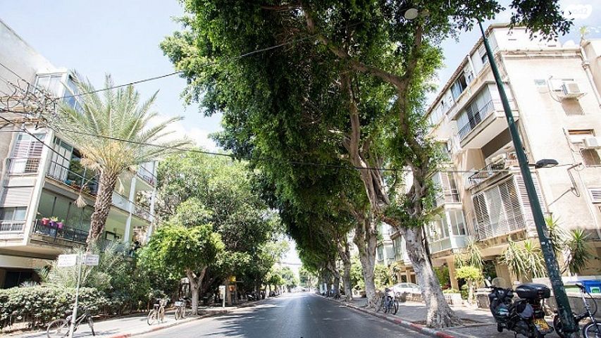 דירה, ארלוזורוב, הצפון הישן - צפון, תל אביב יפו