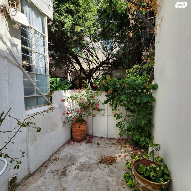 דירת גן, מולכו, נווה צדק, תל אביב יפו