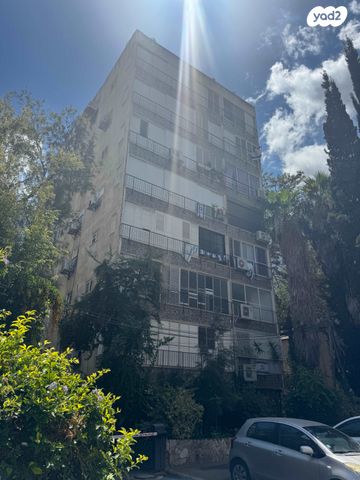 דירה, עין הקורא, רמב"ם, ראשון לציון