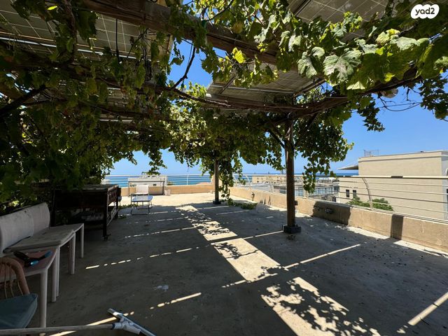 בית פרטי/ קוטג', תל אביב יפו