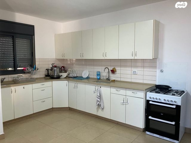 דירה, עלי, עלי