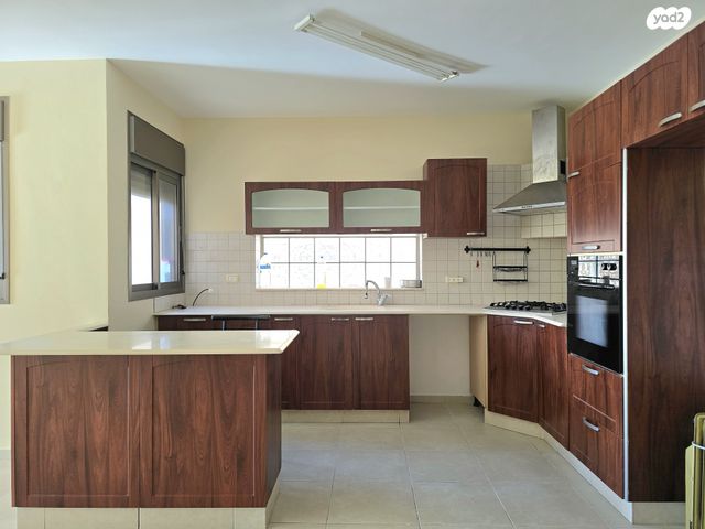 הרב ריינס 25