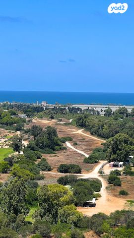 דופלקס, אור עקיבא