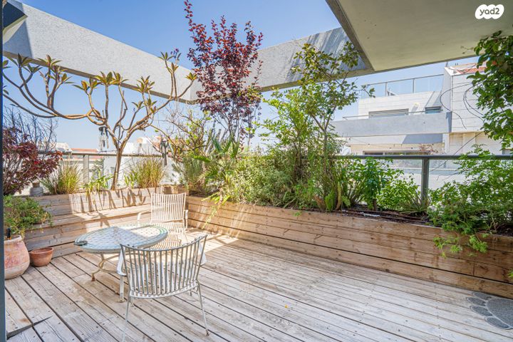 דופלקס, הכרמל, קרית ספיר, כפר סבא