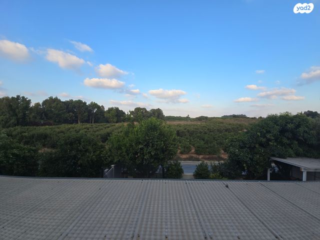 דופלקס, תל מונד