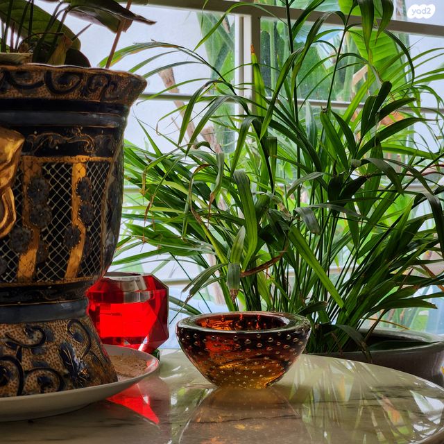 דירת גן, מולכו, נווה צדק, תל אביב יפו