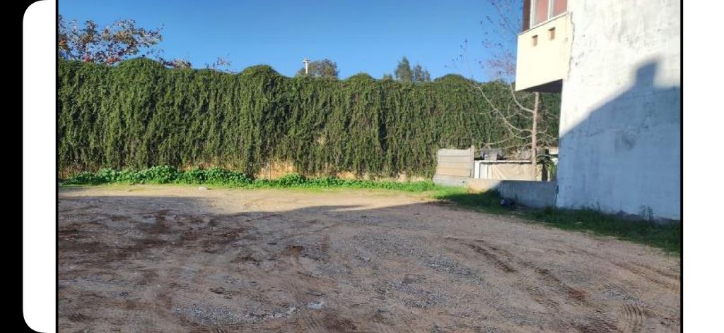 מגרשים, עין גדי, קרית מטלון, פתח תקווה