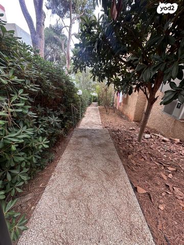 דירה, גבעת דאונס, אחוזה, חיפה