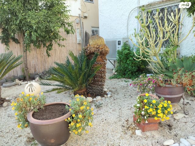 דירה, ירושלים, שיכוני מזרחי, כפר סבא