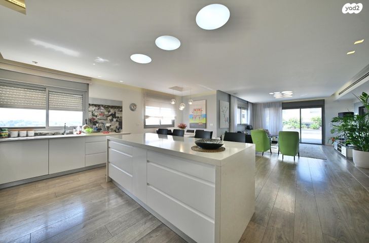 גג/ פנטהאוז, משה לרר, ארגמן, נס ציונה