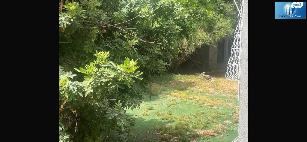 דירה, יוחנן, שכונת חשמונאים, מרכז העיר א, רמת גן