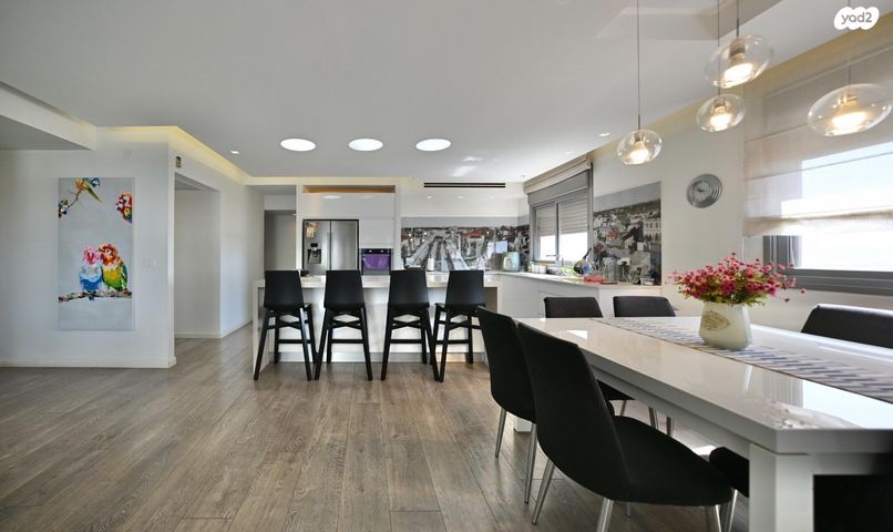 גג/ פנטהאוז, משה לרר, ארגמן, נס ציונה