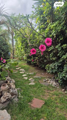 בית פרטי/ קוטג'