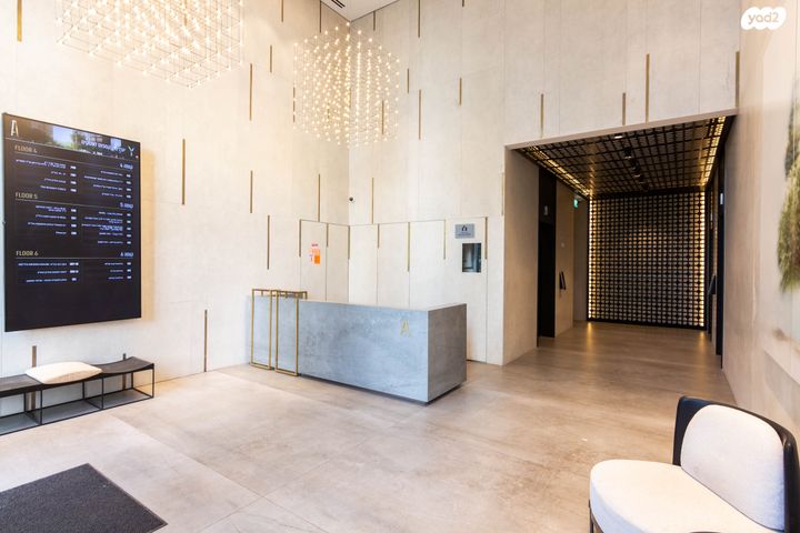 משרדים, פרופ' אברהם פצ'ורניק, שאר העיר, נס ציונה