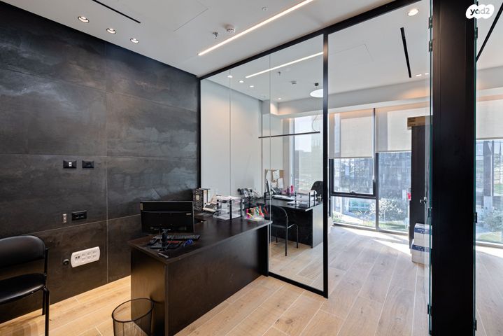 משרדים, פרופ' אברהם פצ'ורניק, שאר העיר, נס ציונה