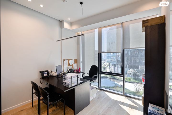 משרדים, פרופ' אברהם פצ'ורניק, שאר העיר, נס ציונה