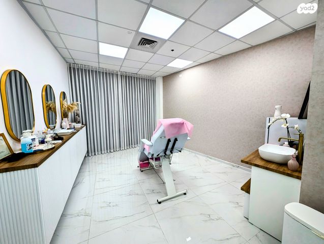 משרדים, פרופ' אברהם פצ'ורניק, שאר העיר, נס ציונה