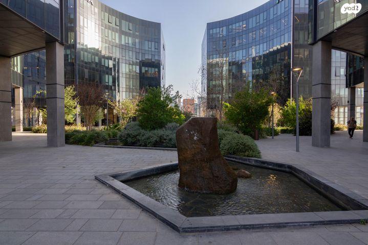 משרדים, פרופ' אברהם פצ'ורניק, שאר העיר, נס ציונה