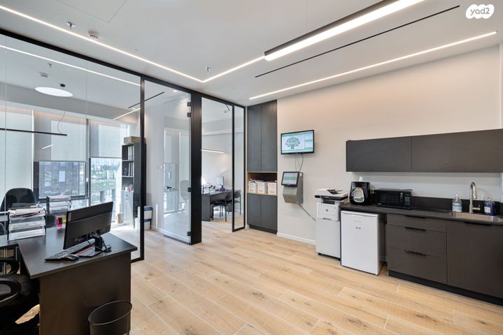 משרדים, פרופ' אברהם פצ'ורניק, שאר העיר, נס ציונה