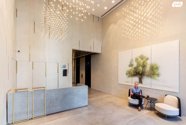 משרדים, פרופ' אברהם פצ'ורניק, שאר העיר, נס ציונה